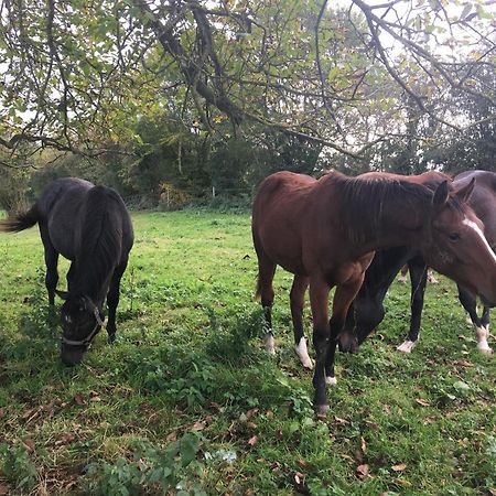 Suite Factory : Gite De Charme En Avesnois Wargnies-le-Petit Eksteriør bilde